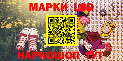 стафф Ачхой-Мартан