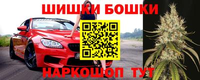 стафф Ачхой-Мартан