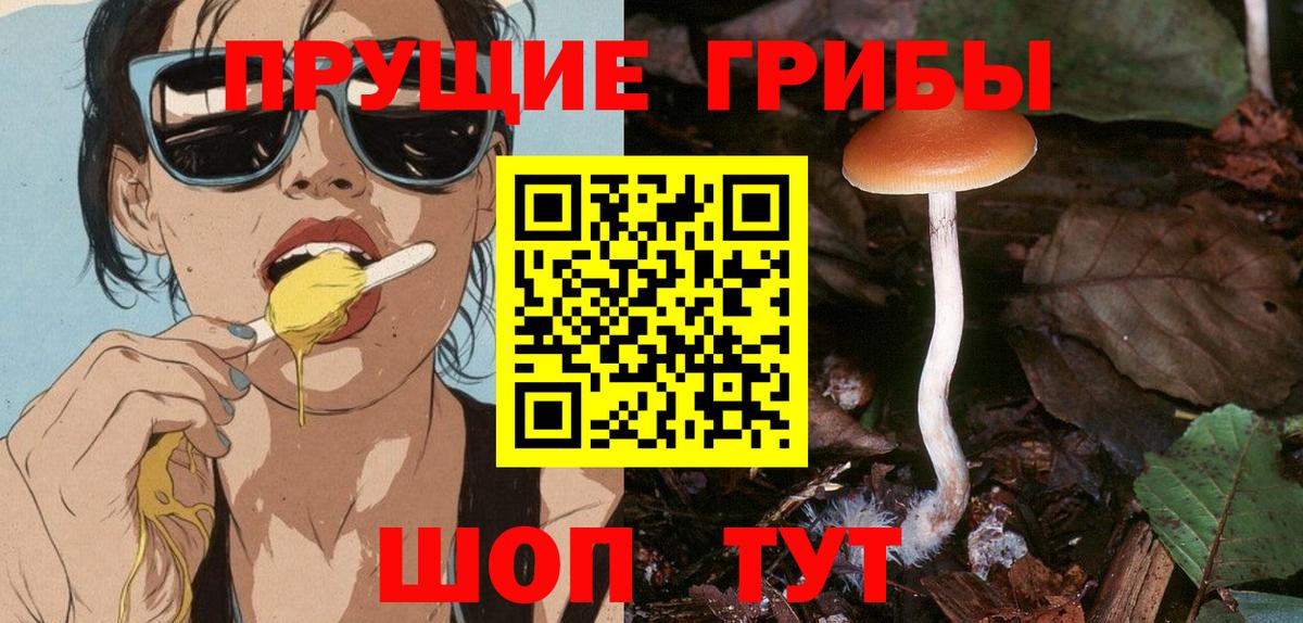 где купить   Галлюциногенные грибы прущие грибы  Похвистнево  Вход с VPN  Псилоцибиновые грибы мухоморы 