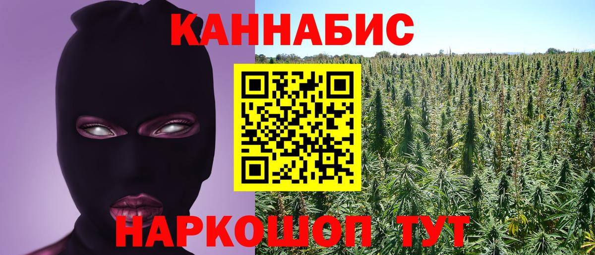Шишки марихуана семена Похвистнево